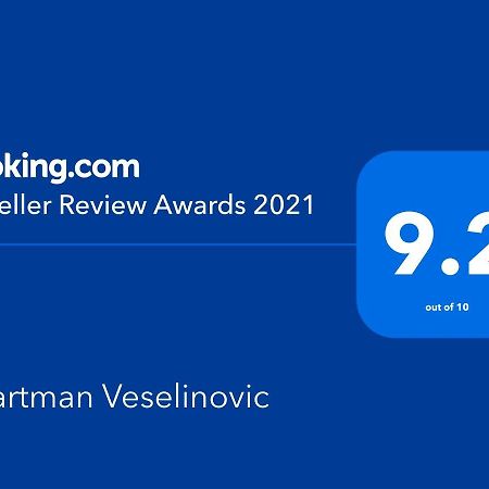 זלאטיבור Apartman Veselinovic מראה חיצוני תמונה
